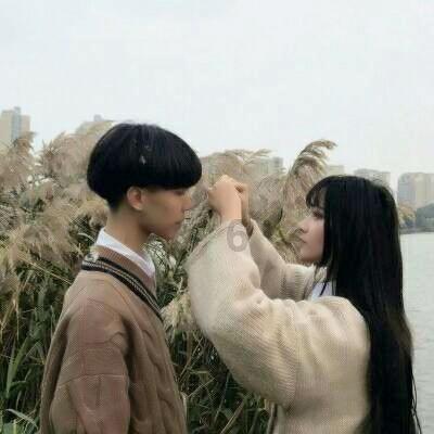 农业设备找不同