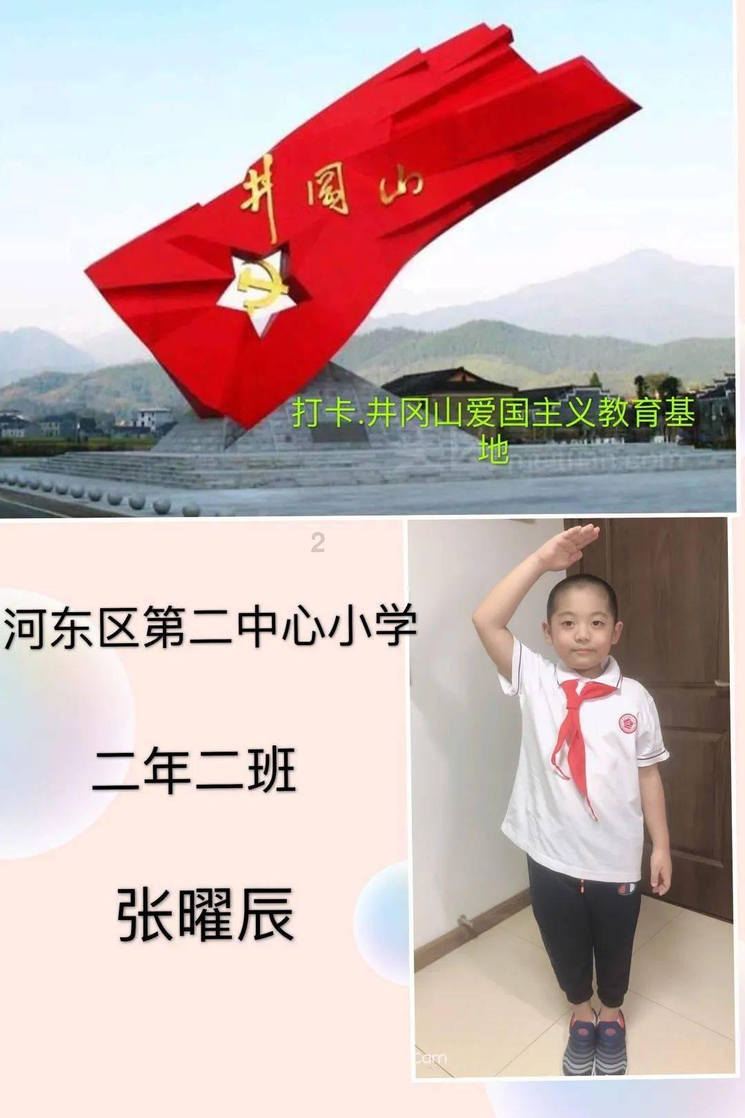狗狗物品记忆卡